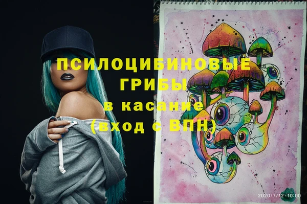 трава Верхнеуральск