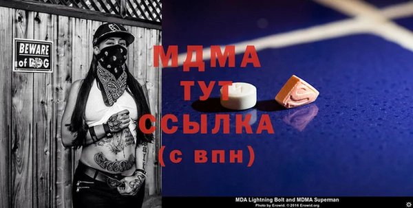 шишки Верея