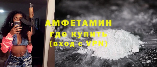 шишки Верея