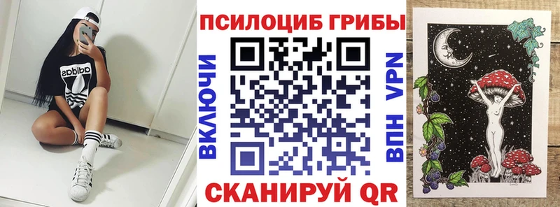 Галлюциногенные грибы Magic Shrooms Вятские Поляны